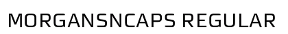 MorganSnCaps Regular preview