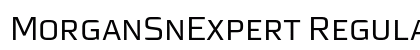MorganSnExpert Regular preview