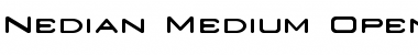 Nedian Medium Font