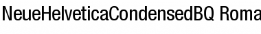 Download Neue Helvetica Condensed BQ Font