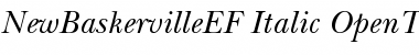 Download NewBaskervilleEF Font