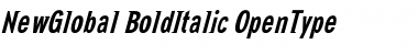 NewGlobal BoldItalic Font