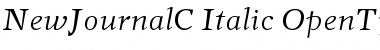 NewJournalC Italic Font