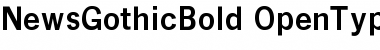 News GothicBold Font
