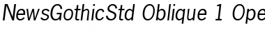 News Gothic Std Oblique Font