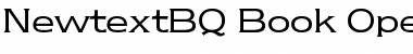 Download Newtext BQ Font