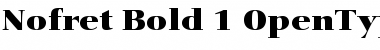 Nofret Bold Font