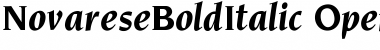 Novarese BoldItalic Font Novarese BoldItalic Font