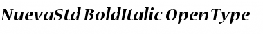 Nueva Std Bold Italic Font