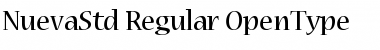 Nueva Std Regular Font