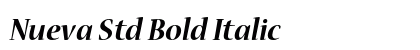 Nueva Std Bold Italic Preview