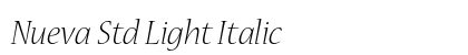 Nueva Std Light Italic Preview