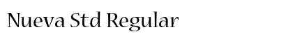 Nueva Std Regular Preview