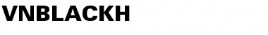 .VnBlackH Regular Font