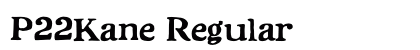 P22Kane Regular preview