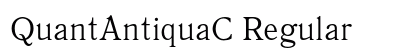 QuantAntiquaC Regular preview