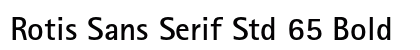 Rotis Sans Serif Std 65 Bold preview