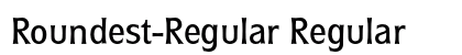 Roundest-Regular Regular preview