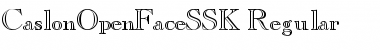 Download CaslonOpenFaceSSK Font