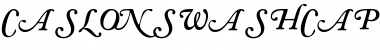 Download CaslonSwashCapsSSK Font