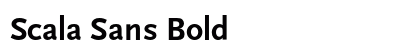 Scala Sans Bold Preview