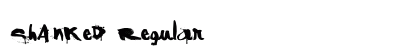 ShAnKed Regular preview