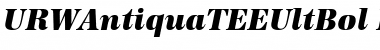 URWAntiquaTEEUltBol Italic Font