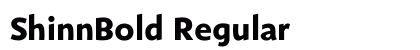 ShinnBold Regular preview