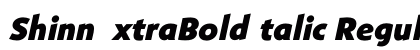 ShinnExtraBoldItalic Regular preview