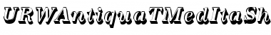 URWAntiquaTMedItaSh1 Regular Font