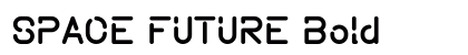 SPACE FUTURE Bold preview