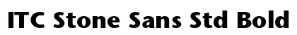 ITC Stone Sans Std Bold preview