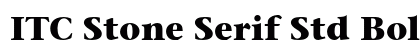 ITC Stone Serif Std Bold preview