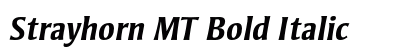 Strayhorn MT Bold Italic Preview