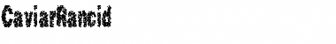 Download CaviarRancid Font Download CaviarRancid Font