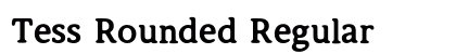 Tess Rounded Regular preview