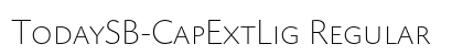 TodaySB-CapExtLig Regular preview