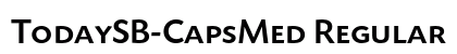 TodaySB-CapsMed Regular preview