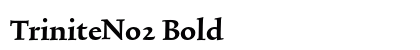 TriniteNo2 Bold preview