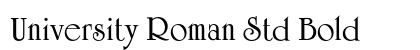 University Roman Std Bold preview
