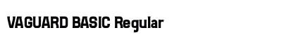 VAGUARD BASIC Regular