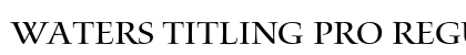 Waters Titling Pro Regular preview