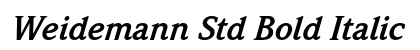 Weidemann Std Bold Italic Preview
