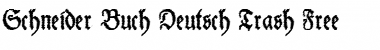 Schneider Buch Deutsch Trash Free Regular Font