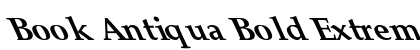 Book Antiqua Bold Extreme Lefty Regular preview