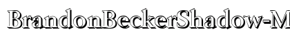 BrandonBeckerShadow-Medium Regular preview