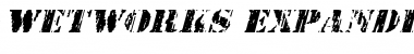 Wetworks Expanded Italic Expanded Italic Font