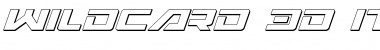 Wildcard 3D Italic Italic Font