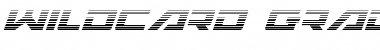 Wildcard Gradient Italic Italic Font