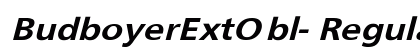BudboyerExtObl- Regular preview